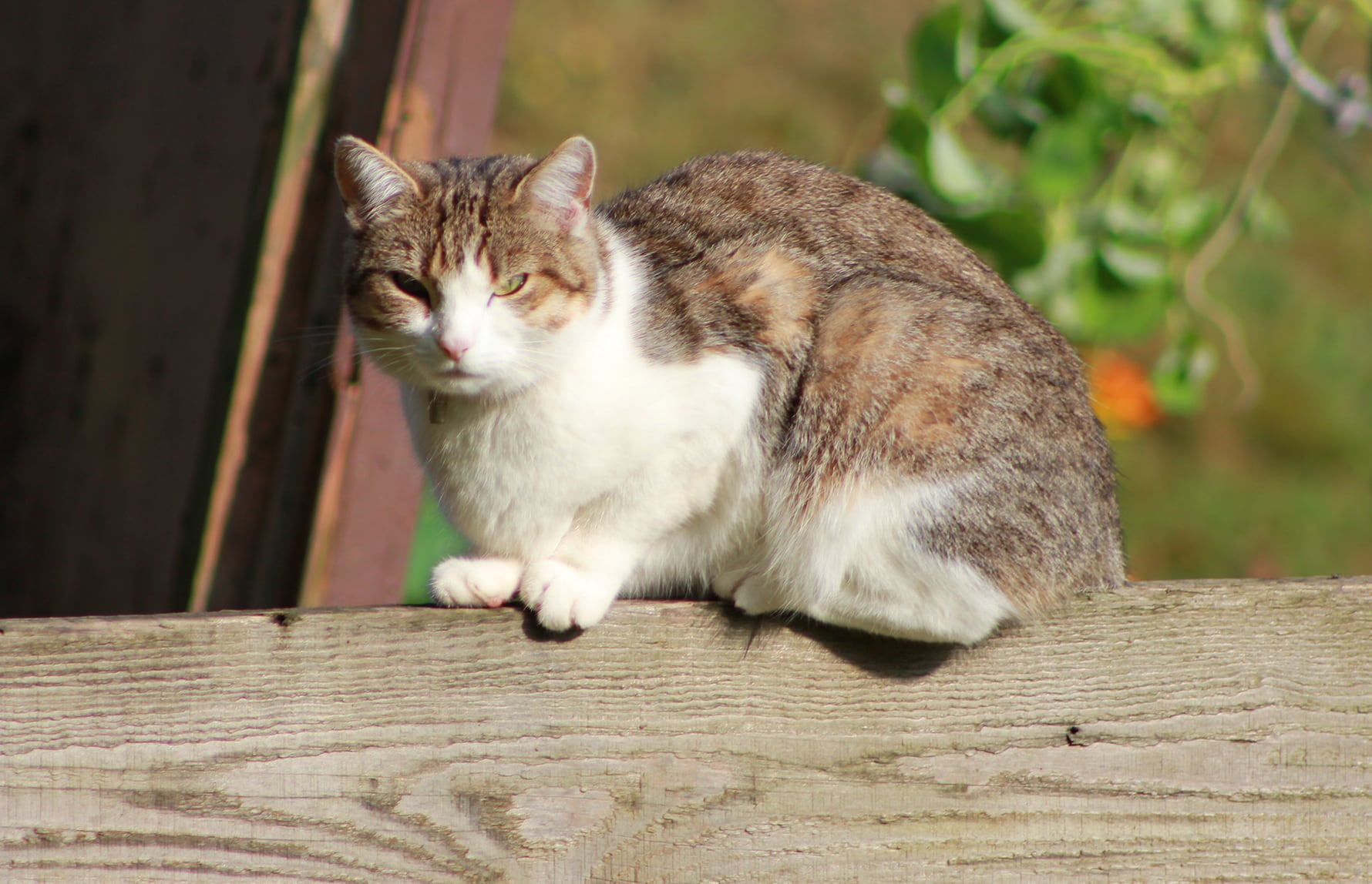 Barras_CC BY-SA 3.0_Huskatt